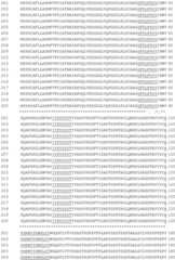 Figure GDA0002870045410001021