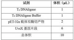 Figure 837652DEST_PATH_IMAGE002