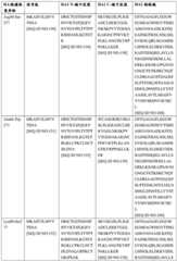 Figure BDA0004089703340001031