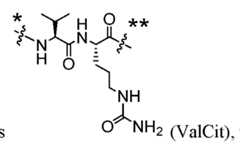 Figure imgf000113_0005
