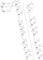 Figure US10793862-20201006-C00135