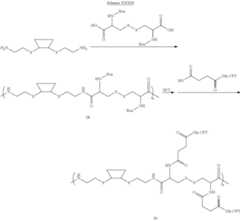 Figure US08580243-20131112-C00051