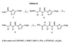 Figure imgf000029_0001