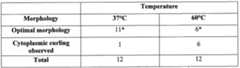 Figure imgf000038_0001