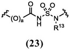 Figure FDA0003131611260000021