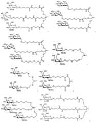 Figure imgf000074_0002