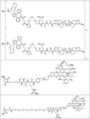 Figure FDA0002889616210000531