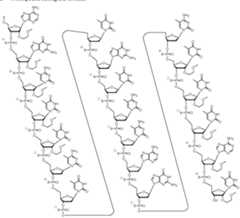 Figure imgf000428_0001