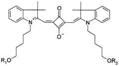 Figure imgf000062_0001