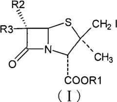 Figure G2008102384797D00031