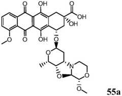 Figure BDA0001241706110001661