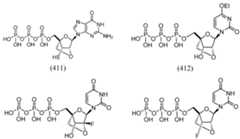 Figure imgf000069_0002