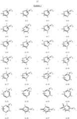 Figure imgf000013_0001