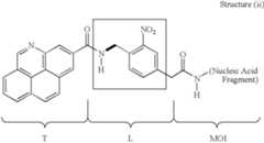 Figure US06613508-20030902-C00003