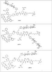 Figure imgf000068_0001