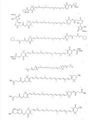 Figure GSA00000093394400321