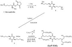 Figure BDA0002449862320000751