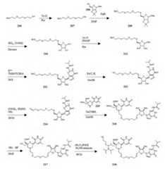 Figure imgf000174_0001