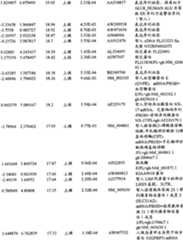 Figure BPA00001280678303421