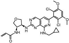 Figure GPA0000263212130002012