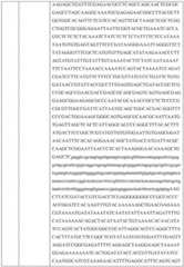 Figure BDA0003676072500001241