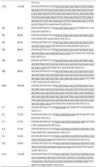 Figure GDA0004037130360000071