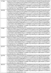 Figure imgf000323_0001