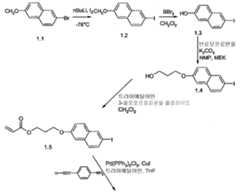 Figure 112010051363261-pct00005