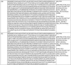 Figure BDA0004183790070000931