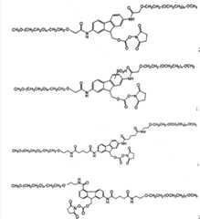 Figure FSB00000799010200043