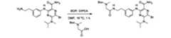 Figure 2025502748000209