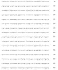 Figure 108123466-A0305-02-0436-325