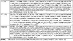 Figure imgf000322_0001