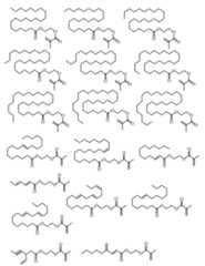 Figure 0007410065000063