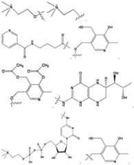 Figure imgf000096_0001