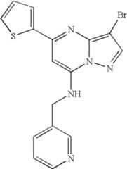 Figure US07119200-20061010-C01237