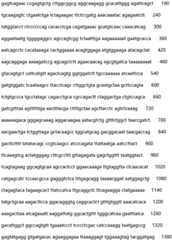 Figure IDA0002935257620000311