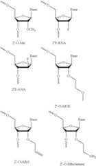 Figure US11105794-20210831-C00001