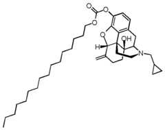 Figure imgf000051_0003