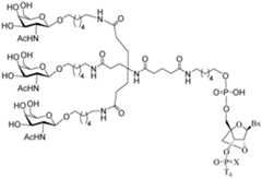 Figure imgf000301_0001