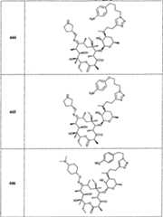 Figure A20058001353202071