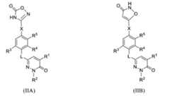 Figure 108130298-A0305-02-0195-1