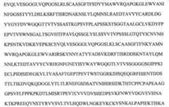 Figure 112104291-A0202-12-0133-133