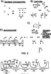 Figure imgf000062_0001