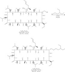 Figure US10647747-20200512-C00248