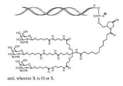 Figure imgf000170_0001