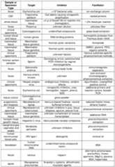 Figure imgf000021_0001