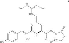 Figure US07700306-20100420-C00020