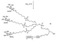 Figure 2023012548000688