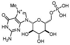 Figure imgf000123_0002